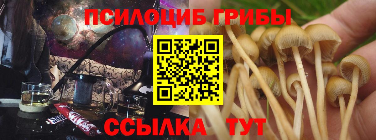 Галлюциногенные грибы ЛСД  Вход с VPN  Киселёвск 