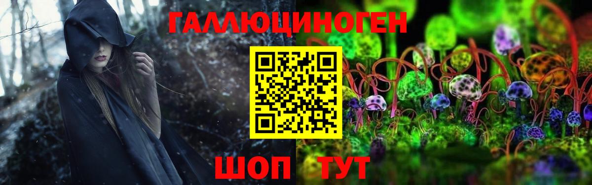 Галлюциногенные грибы мухоморы Киселёвск